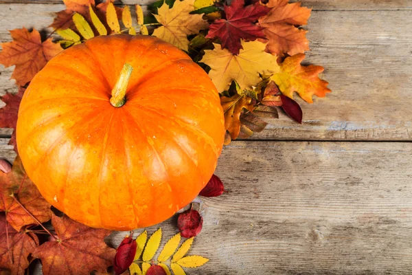 Calabazas y coloridas hojas otoñales sobre una vieja superficie de madera —  Fotos de Stock