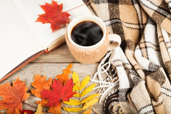 Горячий напиток в большой чашке, книга, красочные осенние листья — стоковое фото
