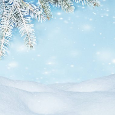 Beautiful winter background. Snowdrifts, spruce branches, flying snow clipart