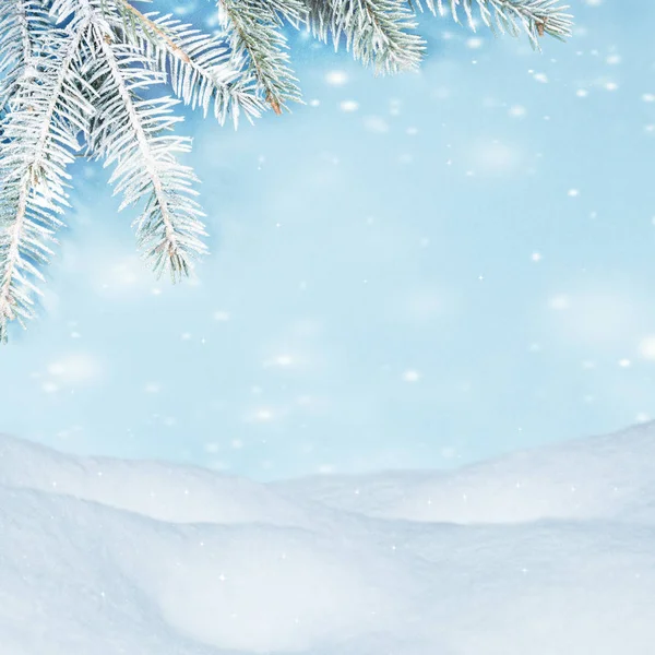 Gyönyörű téli háttér. Snowdrifts, a fenyő ágak, repülő hó — Stock Fotó