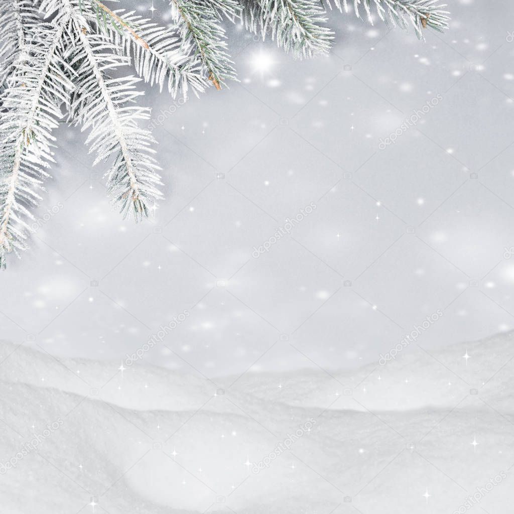 Beautiful christmas background. Snowdrifts, spruce branches, flying snow