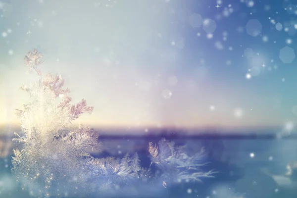 Pencerede, güzel manzara muhteşem frost
