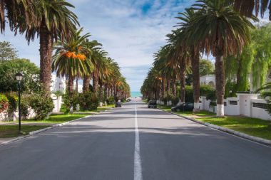 Denizin palms, Tunus arasında önde gelen banliyöde yol