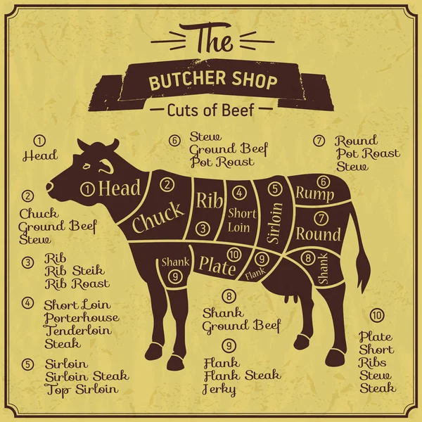 Butcher shop illustration of cow. Farm vintage background. Scheme of part meet. — Stock Vector