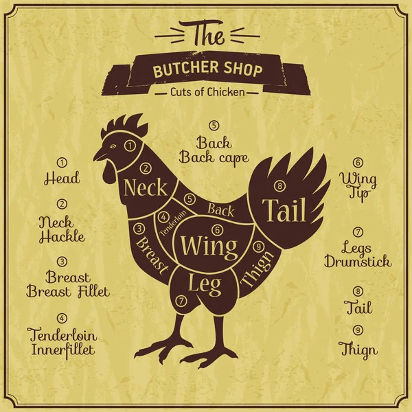 Butcher shop illustration of chicken. Farm vintage background. Scheme of part meet. — Stock Vector