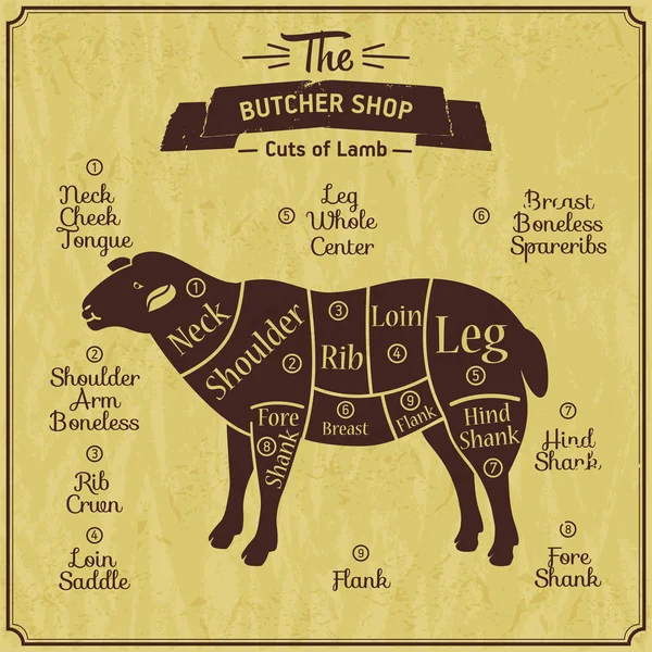 Butcher shop ilustrace jehněčí. Farma vintage pozadí. Schéma části Meet. — Stockový vektor