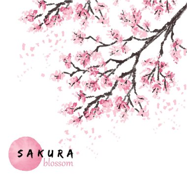 Sakura Japonya kiraz Şubesi çiçeklenme ile vektör çizim çiçek. Elle çizilmiş stili.