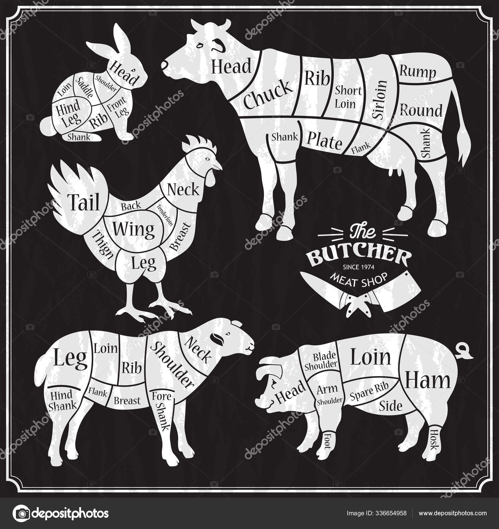 动物饲养场切牛肉,猪肉,羊肉,鸡肉. 食品杂货、肉类商店、肉铺、农贸市场的摊贩。 牛、猪、羊和鸡的轮廓. 图库矢量图©olgamilagros  336654958, image size:1600x1696