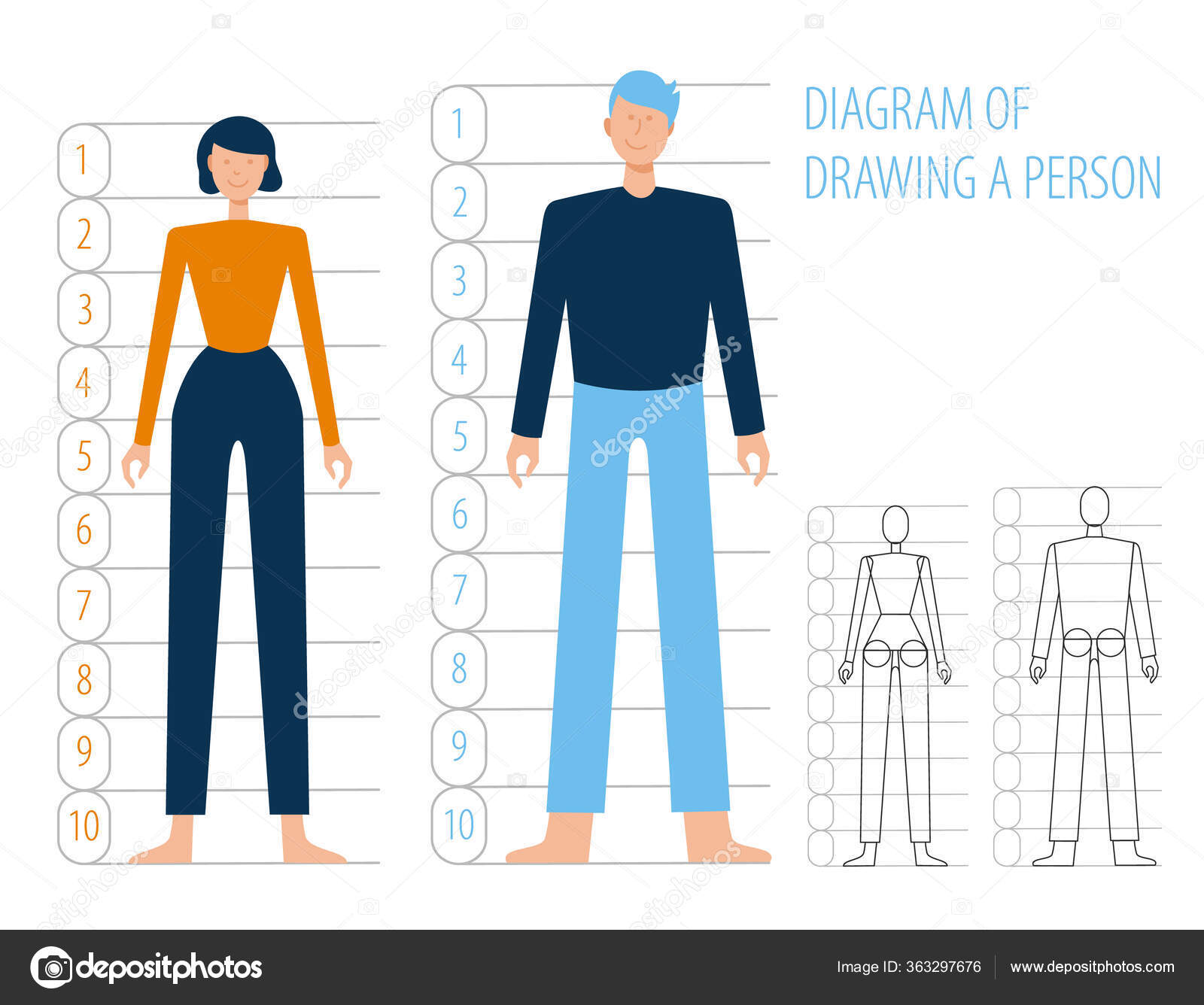 Anatomia do corpo humano homem e mulher. Esquema de construção e desenho  simples plana humana, vetor de desenhos animados. Estruturas corporais em  pleno crescimento . Vetor de ©olgamilagros 363297676, image size:1600x1336