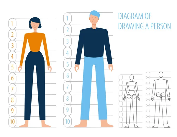 Anatomie du corps humain homme et femme. Schéma de construction et dessin simple plat humain, vecteur de dessin animé. Structures du corps en pleine croissance . — Image vectorielle