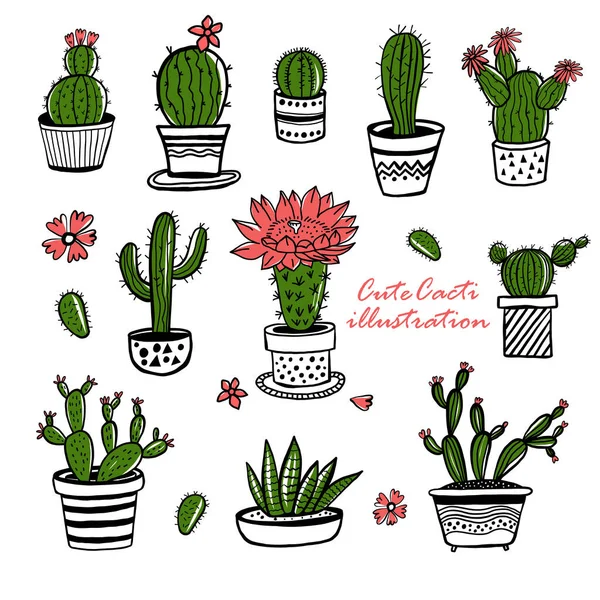 Cactus et succulent ensemble dessiné à la main dans un style esquisse. Doodle couleurs fleurs en pots. vecteur coloré mignon maison plantes d'intérieur . — Image vectorielle