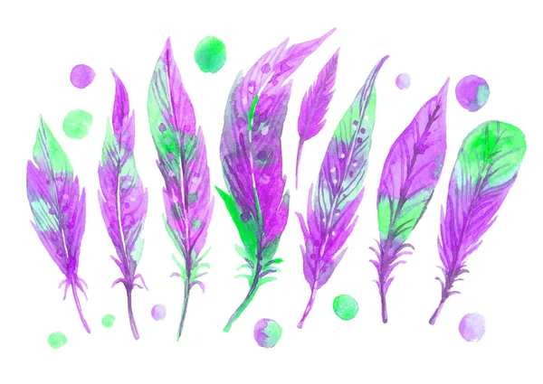 Conjunto de plumas púrpura acuarela. ilustración dibujada a mano — Foto de Stock