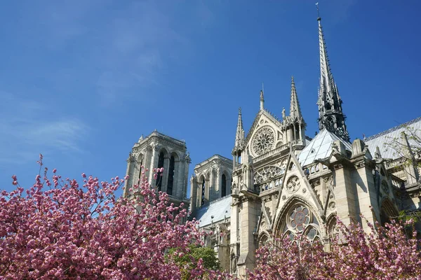 Catedrala Notre Dame Paris Din Aprilie Vedere Spre Sud Turnul — Fotografie, imagine de stoc
