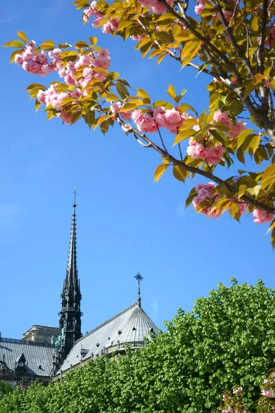 Partie Cathédrale Notre Dame Avant Incendie Avril 2019 Montrant Flèche — Photo