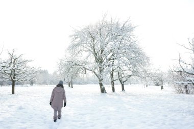 Ağaçlı, beyaz, karlı bir manzara. Açık havada kış kıyafetleri içinde karda yürüyen bir kadının arka görüntüsü..  