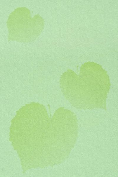Green paper background with three overlaid green leaves . Rough paper texture. Copy space.