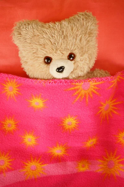 Teddy bear in bed under a blanket. Eyes wide open. Coral color sheet and pink blanket.