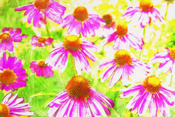 Purple Cone flowers Echinaceae and green foliage. Aquarelle look on paper texture. Floral backdrop.
