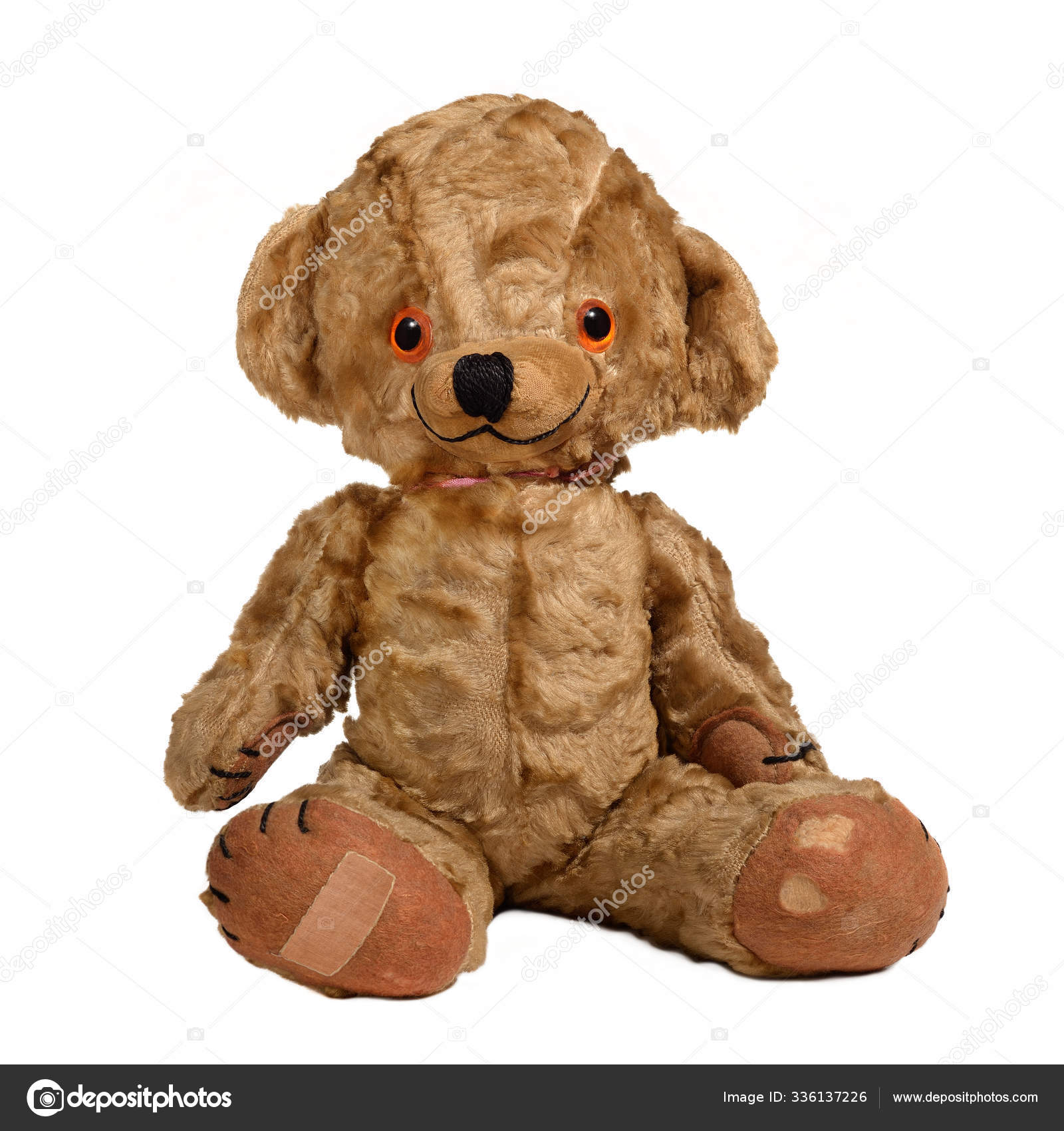 english teddy bear
