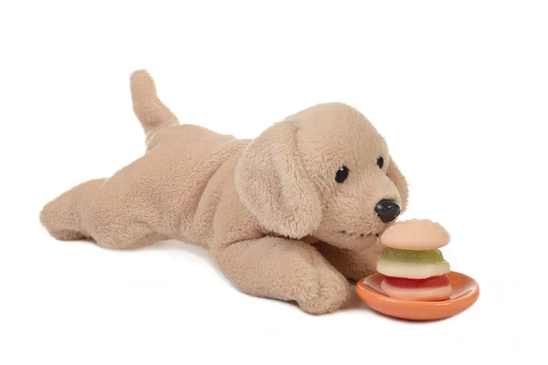 Tabakta hamburger kokan peluş bir oyuncak köpek. Beyaz arka planda izole edilmiş. Abur cubur konsepti.