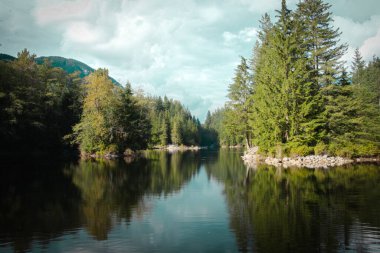 Yazın ormanı yansıtıyor.