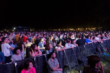 Tiflis Açık Hava 2019. Bir müzik festivalinde seyirciler ellerini kaldırdı ve sahnenin üstünden ışıklar süzülüyor. Yumuşak odak, yüksek ISO, taneli görüntü.