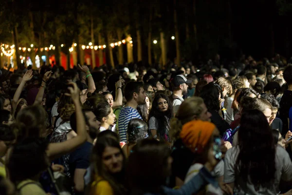 Tbilisi Open Air2019 Publikum Rukama Zdviženýma Hudebním Festivalu Světly Proudícími — Stock fotografie