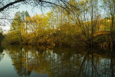 İlkbahar, ormanın içinde bir göletle yürür.