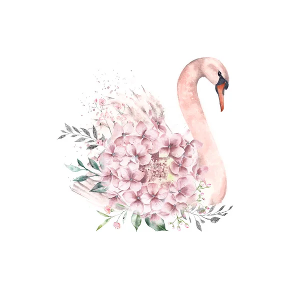 꽃 과 나뭇잎 장식 이 있는 귀여운 백조의 그림. 물색. — 스톡 사진