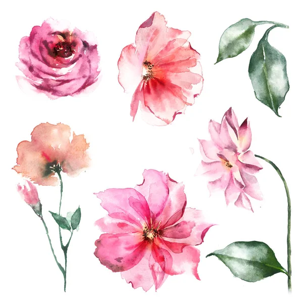 Set of bright watercolor flowers, abstract painting - beautiful design. — Stock Photo, Image