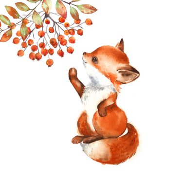 Küçük bir tilkinin tasviri. Rowan şubesi. Sevimli karakter.