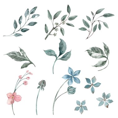 Okaliptüs filizinin suluboya elementleri, küçük çiçekler, hafif mavi ve şeftali rengi. Düğün dekoru.