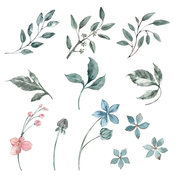 Zestaw akwarelowych elementów eukaliptusowej gałązki, drobne kwiaty delikatnie niebieskie i brzoskwiniowe. Wystrój ślubny. — Zdjęcie stockowe