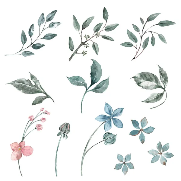 Set of watercolor elements of eucalyptus sprig, small flowers gently blue and peach. Wedding decor.