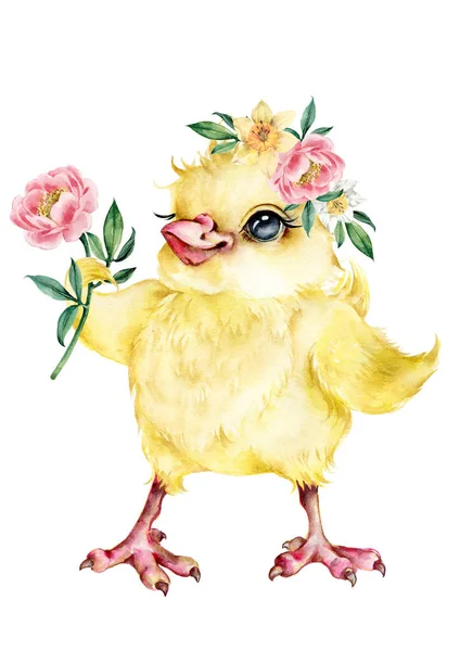 Cute illustration of a little chicken with a flower. Wreath of spring flowers. Easter illustration. — 스톡 사진