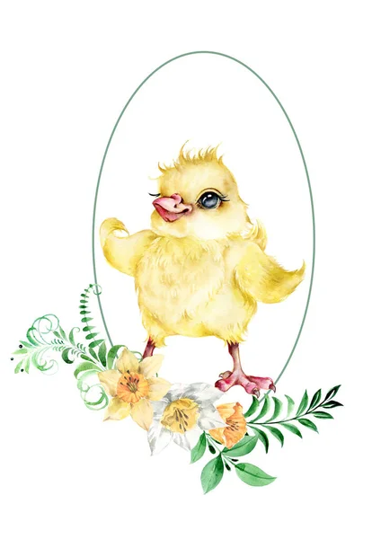 Cute character Easter chicken with a frame is decorated with spring flowers of daffodil and branches of greenery. — Stok fotoğraf