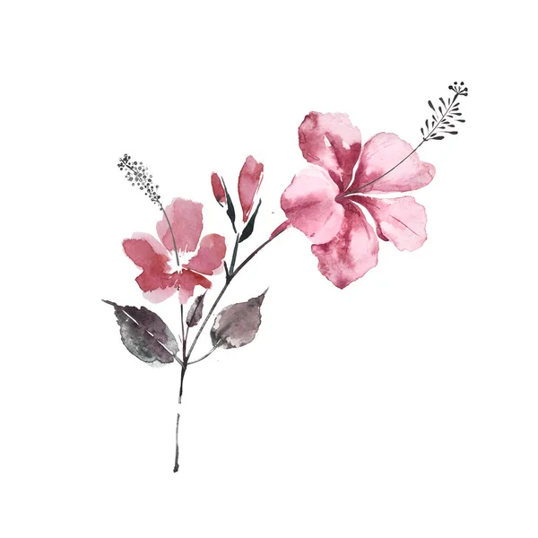 Chinesische Malerei Hibiskusblüte. Chinesische Rose Aquarell Illustration. — Stockfoto
