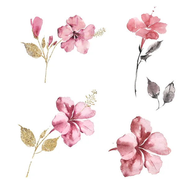 Chinese painting hibiscus flowers set. Watercolor illustration. Pink and gold. — Stock Photo, Image