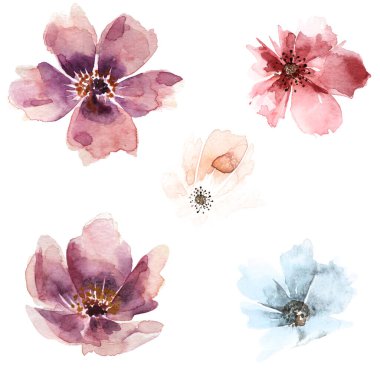 Bir dizi suluboya soyut çiçek. Düğün tasarımı için pembe çiçekler