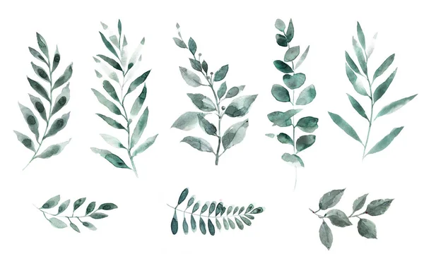 Acuarela clipart hojas verdes. Conjunto de hojas tropicales para invitaciones de diseño con estilo . — Foto de Stock