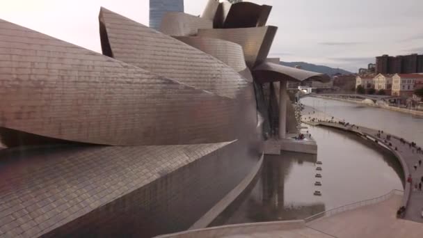 Bilbao Spanje 2020 Puppy Het Bloemenbeeld Van Bilbao Gestabiliseerd Panning — Stockvideo