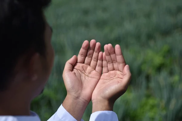 Hand of muslim people praying with nature background