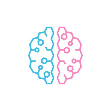 Beyin. Pembe ve maviden oluşan beynin iki yarısı. Kadın ve erkek düşünme konsepti. Stok vektör illüstrasyonu beyaz arkaplanda izole edildi.