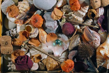 Taşlarla dolu natürmort