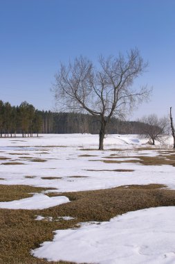 Bahar yürüyüşte eski Shilne içinde