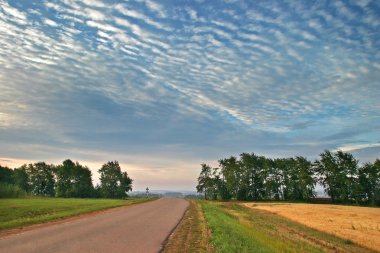 Yaz peyzaj alanı tahıl daha önce bir fırtına bir yaz gününde