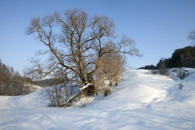 evin yanında bir vadiye soğuk güneşli bir günde
