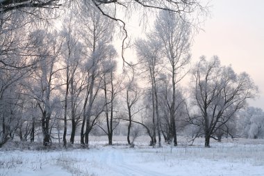 Kışın gündoğumu