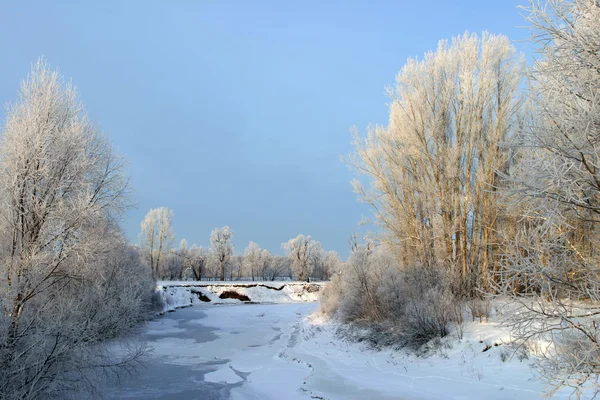 Морозний Зимовий День Околицях Села — стокове фото