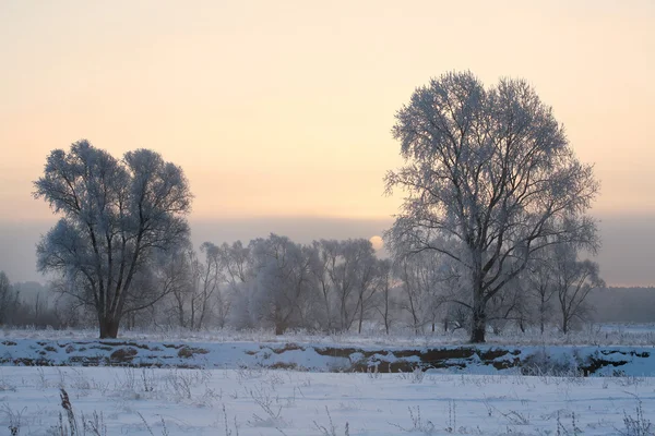 Восход солнца зимой — стоковое фото